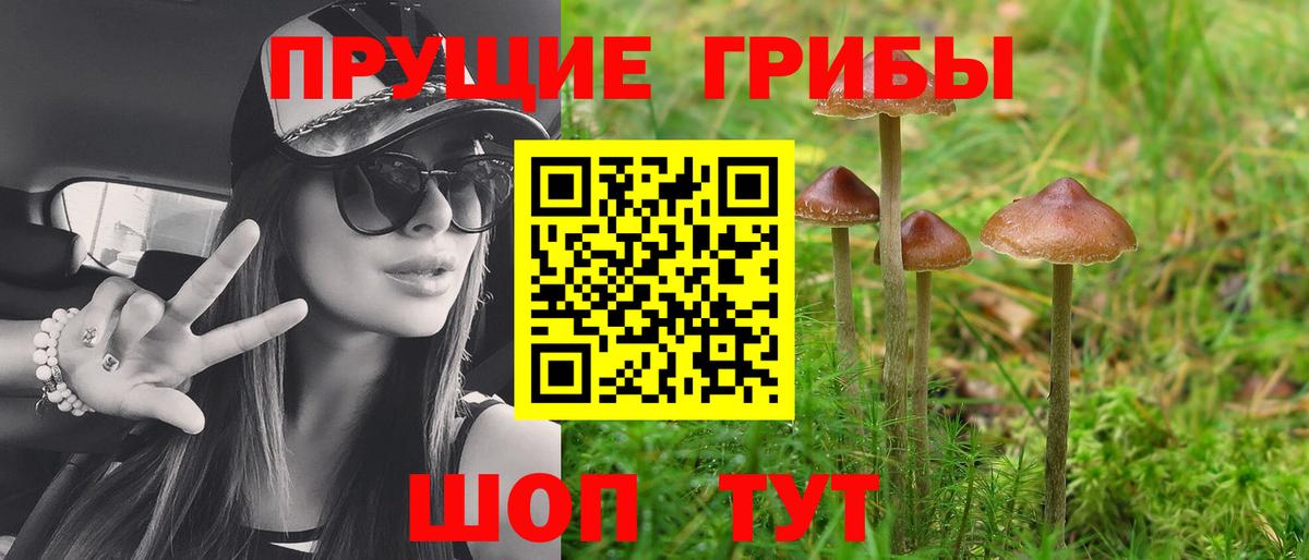 Галлюциногенные грибы Magic Shrooms  Вход с VPN  Новоуральск  Галлюциногенные грибы Cubensis 