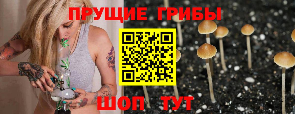 Галлюциногенные грибы мухоморы Новоуральск